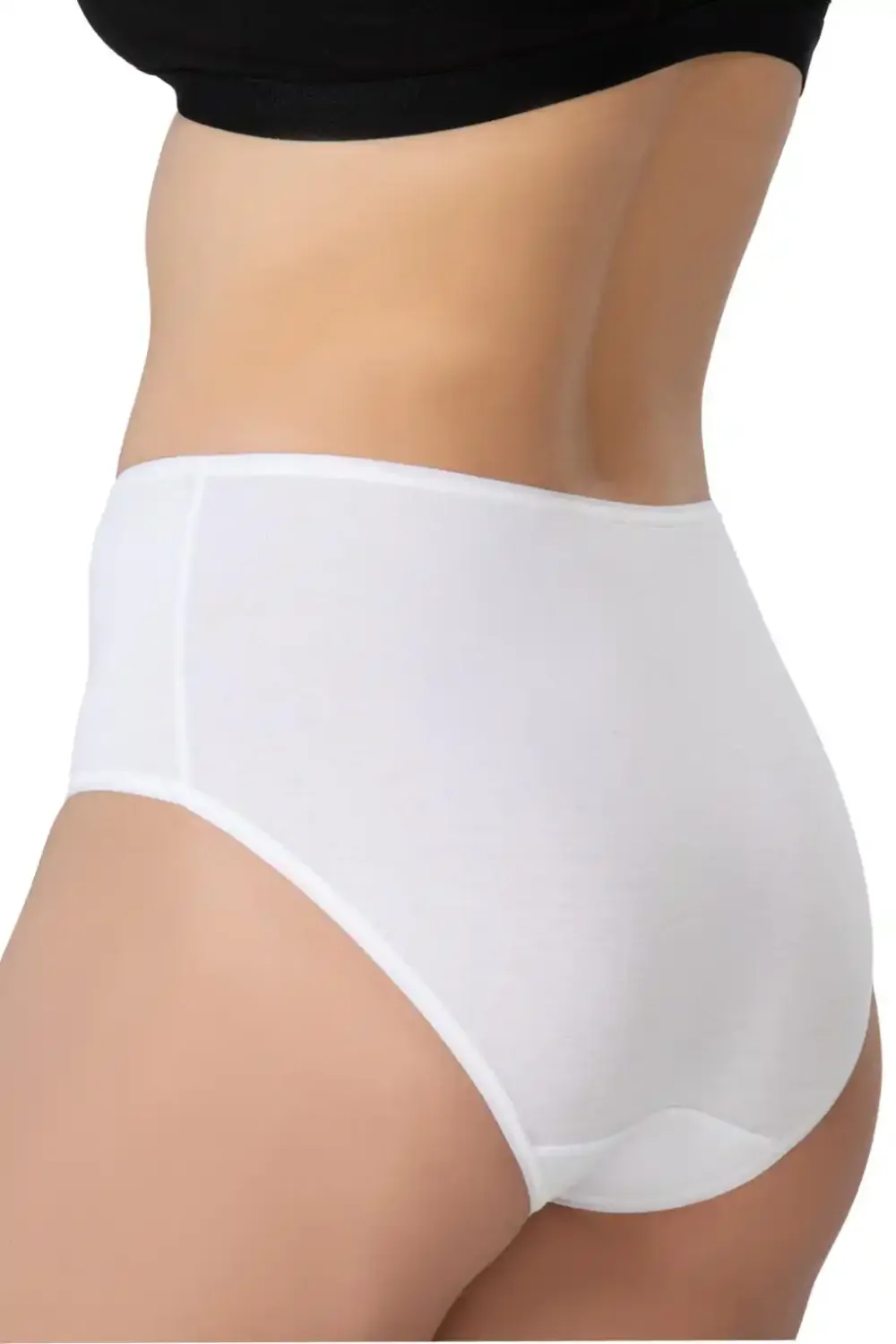 Beyaz Modal Cotton Yüksek Bel Külot