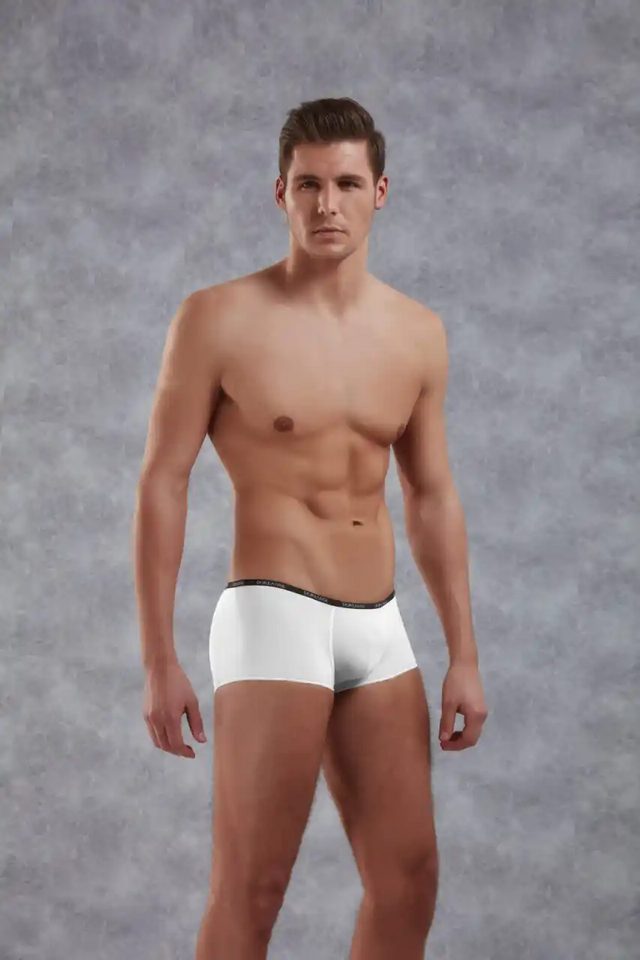 Erkek Beyaz Polyamid Mini Paça Boxer