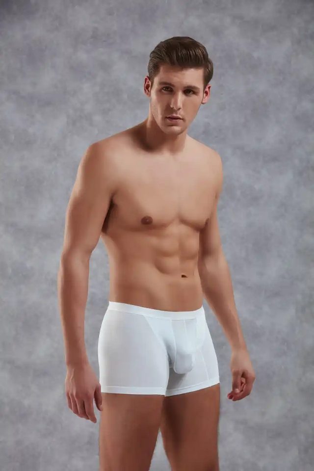 Erkek Beyaz Modal Torbalı İnce Bel Bantlı Normal Paça Boxer 