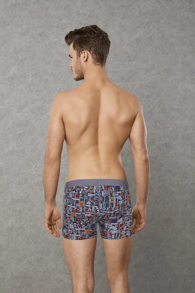 Erkek Gri Şehir Figürlü Desenli Esnek Kumaş Lastikli Bel Kısa Paça Boxer