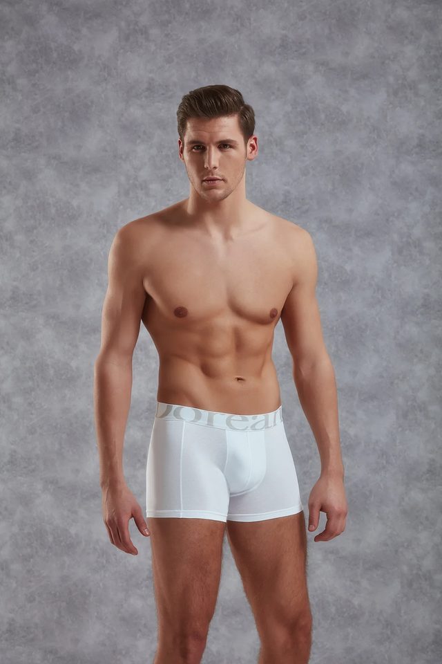 Erkek Modal Pamuklu Beyaz Lastik Bel Likralı Kısa Boxer 
