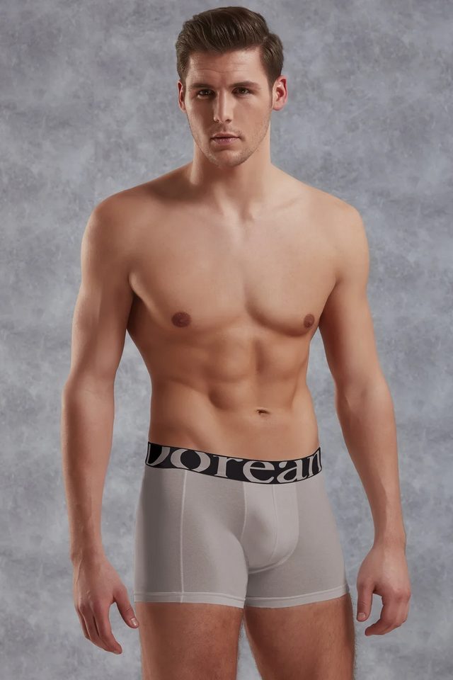 Erkek Modal Pamuklu Gri Lastik Bel Likralı Kısa Boxer  