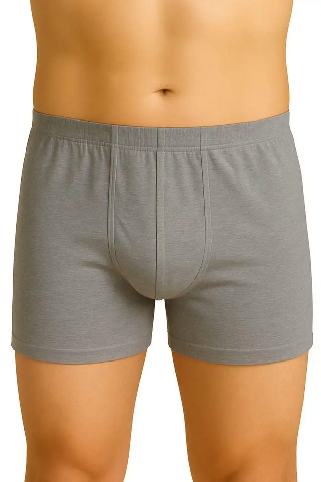 Gri Arjantin Erkek Boxer